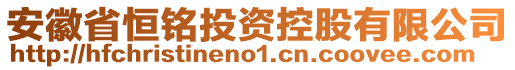 安徽省恒銘投資控股有限公司
