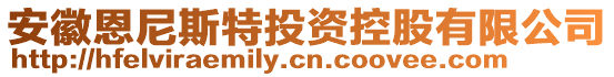 安徽恩尼斯特投資控股有限公司