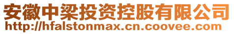 安徽中梁投資控股有限公司