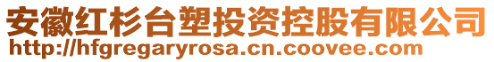 安徽紅杉臺塑投資控股有限公司