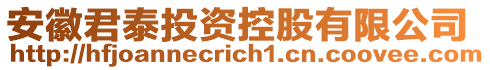 安徽君泰投資控股有限公司