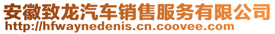 安徽致龍汽車銷售服務有限公司