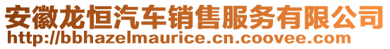 安徽龍恒汽車銷售服務有限公司