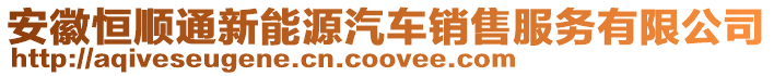 安徽恒順通新能源汽車銷售服務有限公司