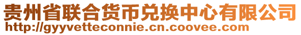貴州省聯合貨幣兌換中心有限公司