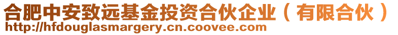 合肥中安致遠(yuǎn)基金投資合伙企業(yè)(有限合伙)