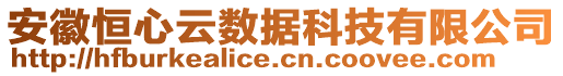 安徽恒心云數據科技有限公司