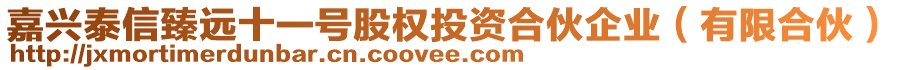 嘉興泰信臻遠(yuǎn)十一號(hào)股權(quán)投資合伙企業(yè)(有限合伙)