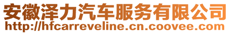 安徽澤力汽車服務有限公司