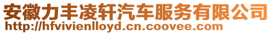 安徽力豐凌軒汽車(chē)服務(wù)有限公司