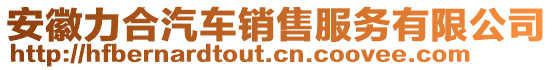 安徽力合汽車(chē)銷(xiāo)售服務(wù)有限公司