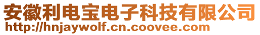 安徽利電寶電子科技有限公司