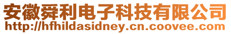 安徽舜利電子科技有限公司