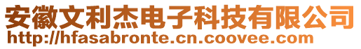 安徽文利杰電子科技有限公司
