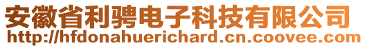 安徽省利騁電子科技有限公司