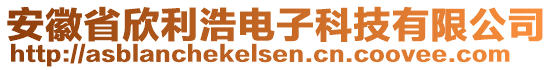 安徽省欣利浩電子科技有限公司
