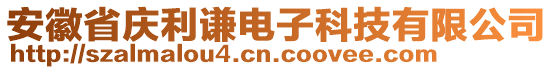 安徽省慶利謙電子科技有限公司