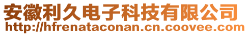 安徽利久電子科技有限公司