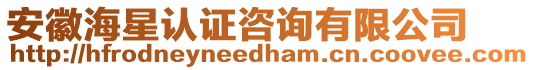 安徽海星認證咨詢有限公司