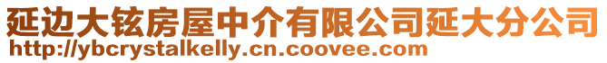 延邊大鉉房屋中介有限公司延大分公司