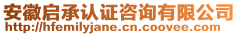安徽啟承認證咨詢有限公司