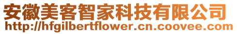 安徽美客智家科技有限公司