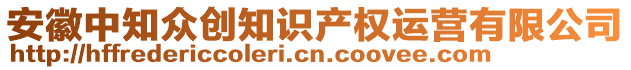 安徽中知眾創知識產權運營有限公司