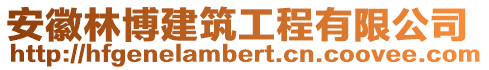 安徽林博建筑工程有限公司