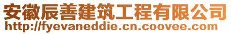 安徽辰善建筑工程有限公司