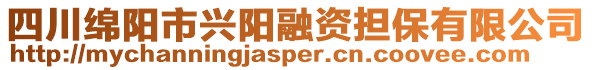 四川綿陽(yáng)市興陽(yáng)融資擔(dān)保有限公司