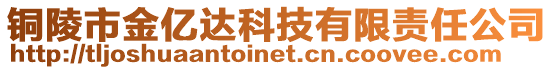銅陵市金億達(dá)科技有限責(zé)任公司