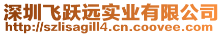 深圳飛躍遠(yuǎn)實(shí)業(yè)有限公司