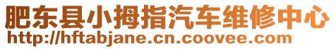 肥東縣小拇指汽車維修中心