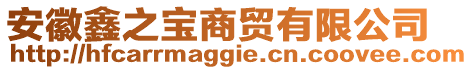 安徽鑫之寶商貿有限公司