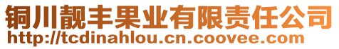 銅川靚豐果業(yè)有限責任公司