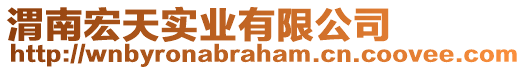 渭南宏天實業有限公司