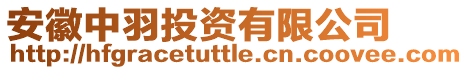 安徽中羽投資有限公司