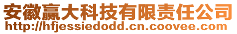 安徽贏大科技有限責(zé)任公司