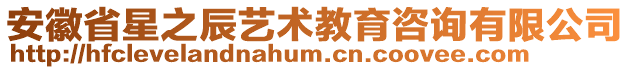 安徽省星之辰藝術教育咨詢有限公司