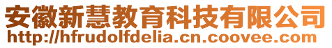 安徽新慧教育科技有限公司