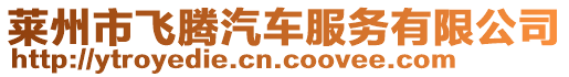 萊州市飛騰汽車服務有限公司