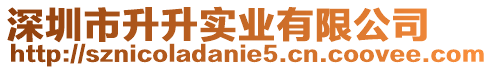 深圳市升升實業有限公司