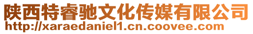 陜西特睿馳文化傳媒有限公司