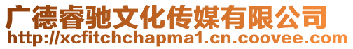 廣德睿馳文化傳媒有限公司