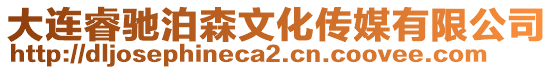 大連睿馳泊森文化傳媒有限公司