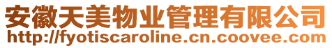 安徽天美物業管理有限公司