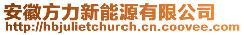 安徽方力新能源有限公司