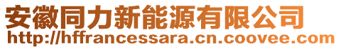 安徽同力新能源有限公司
