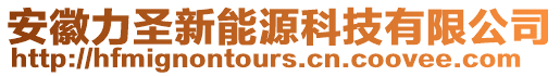 安徽力圣新能源科技有限公司