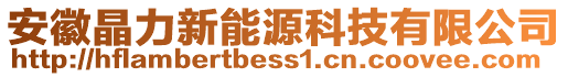 安徽晶力新能源科技有限公司